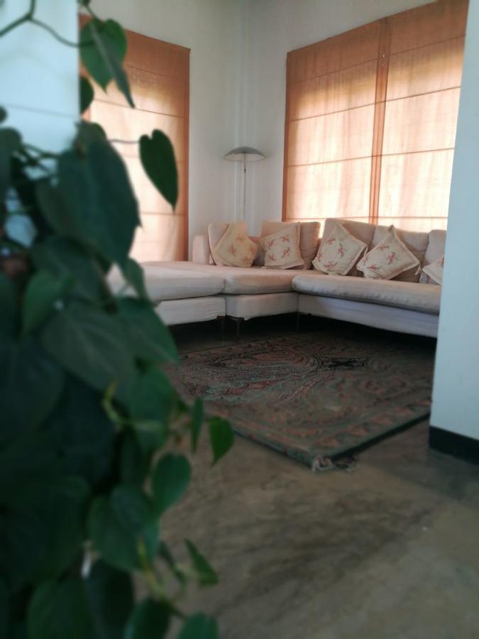 Emerald Mirror Guest إيلا المظهر الخارجي الصورة